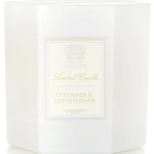 Candle - Cucumber & Lotus Flower