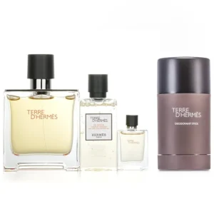 Hermes Terre D'Hermes Pure Set + Terre D'Hermes Deodorant Stick