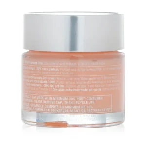 Moisture Surge 100H Auto-Replenishing Hydrator