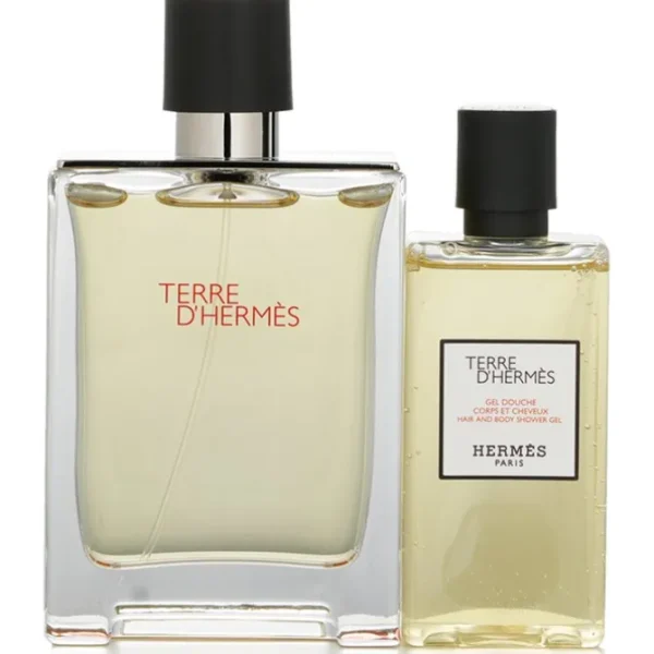 Terre D'Hermes Coffret: Eau De Toilette Spray 100ml/3.3oz + Hair And Body Shower Gel 80ml/2.7oz